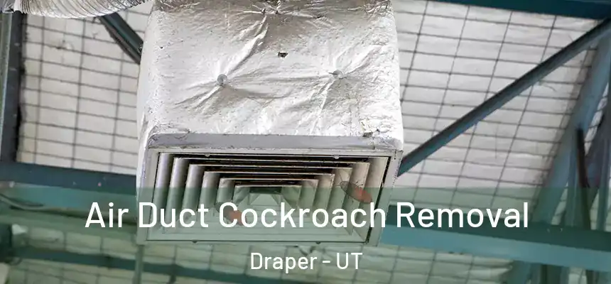  Air Duct Cockroach Removal Draper - UT