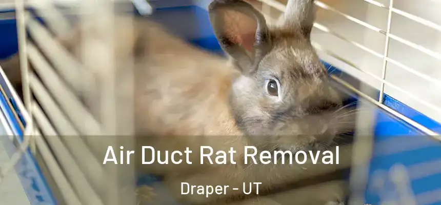  Air Duct Rat Removal Draper - UT