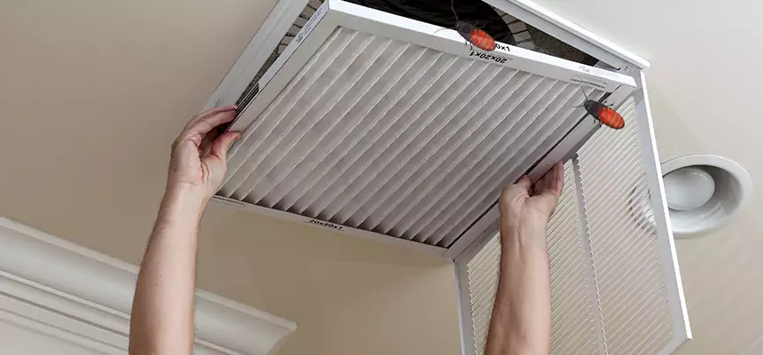 Preventive Cockroach-Proofing for Ducts in Draper