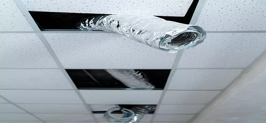 Affordable HVAC Sanitizing After Pest Removal in Draper