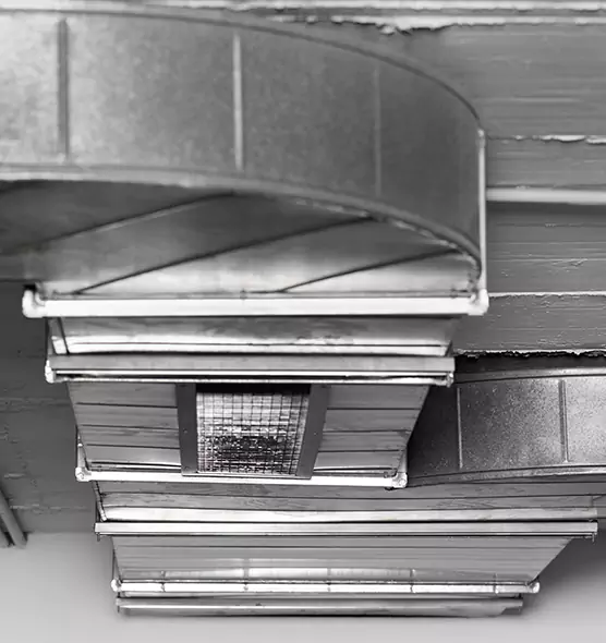 Professional Air Duct Pest Removal in Draper, UT