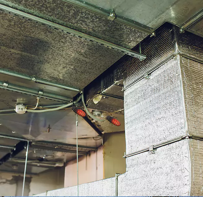 Why Homeowners & Businesses Trust Us in Draper, UT?