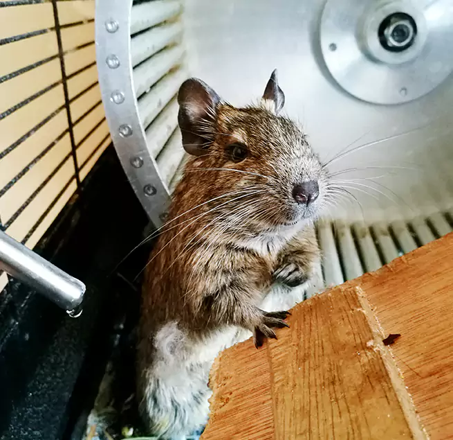 Why Homeowners & Businesses Trust Us Draper, UT