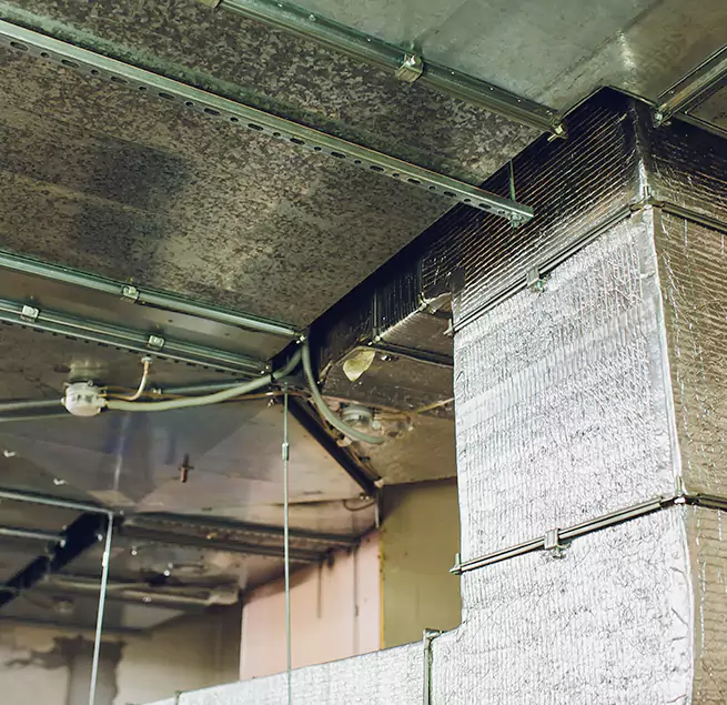 Why Homeowners & Businesses Trust Us in Draper, UT?